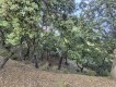 Foto8