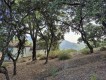 Foto16