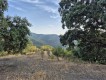 Foto9