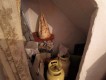Foto10