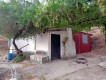 Foto14