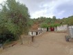 Foto15