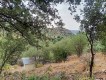 Foto20