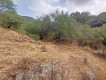 Foto9