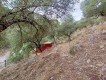 Foto10