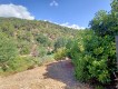Foto51