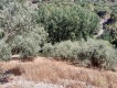 Foto53