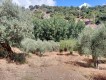 Foto54