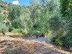 Foto55