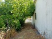 Foto81