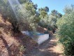 Foto82