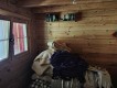 Foto7