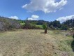 Foto40