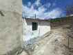 Foto41
