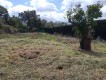 Foto43