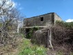 Foto45
