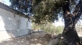 Foto33