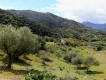 Foto38
