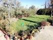 Foto7