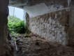 Foto11