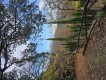 Foto21