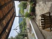 Foto5
