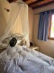 Foto47