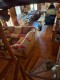 Foto53
