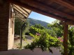 Foto69