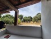 Foto82