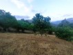 Foto15