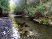 Foto8