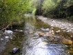 Foto17