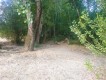 Foto19