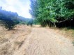 Foto23