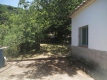 Foto9