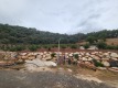 Foto7