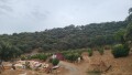 Foto8