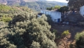 Foto2