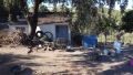 Foto5