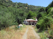 Foto5