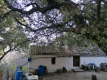 Foto4