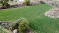 Foto4