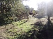 Foto8
