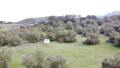 Foto9