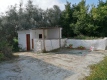 Foto9