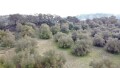 Foto21