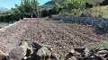 Foto19