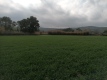 Foto16