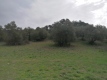 Foto32